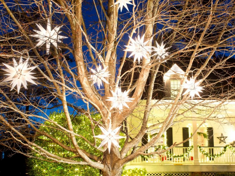estrellas diy plantas ramas luces
