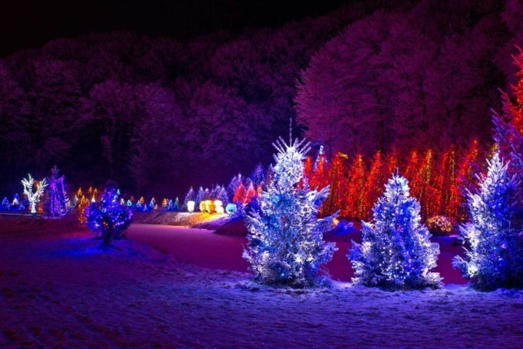 luces de navidad ideas jardines arboles nieve