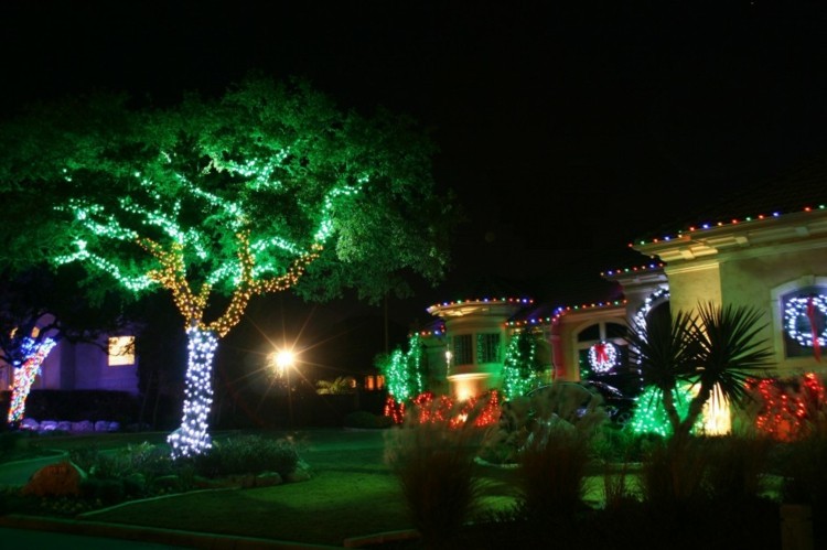 luces de navidad ideas jardines verdes