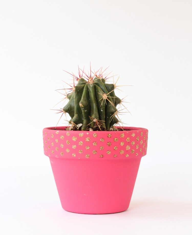 macetas decoracion ideas perlas cactus