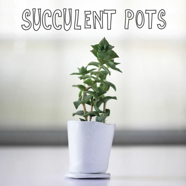 bonita planta regalo navidad deco