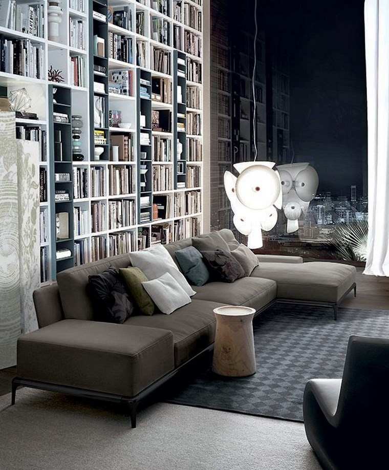 decoracion de salones modernos estanterias sofa gris ideas