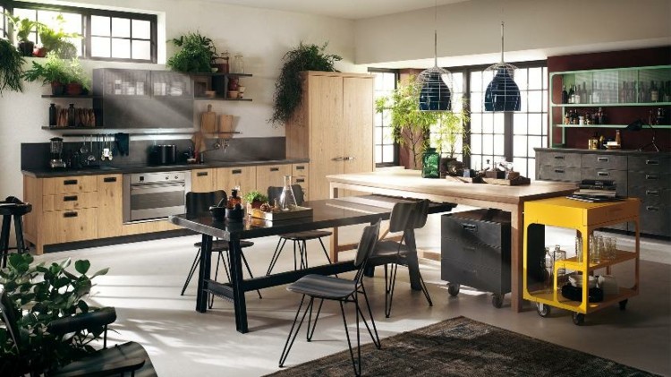 plantas decorafdo ideas negro amarillo