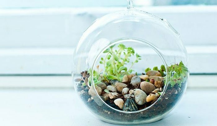 regalos personalizasdos jardin pequeno precioso ideas