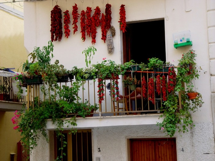 detalles con plantas decoracion de balcones soluciones macetas verde