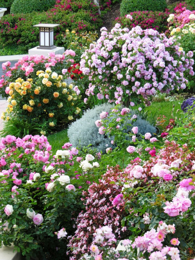 terrazas y jardines decoracion de terrazas y jardines faroles cesped