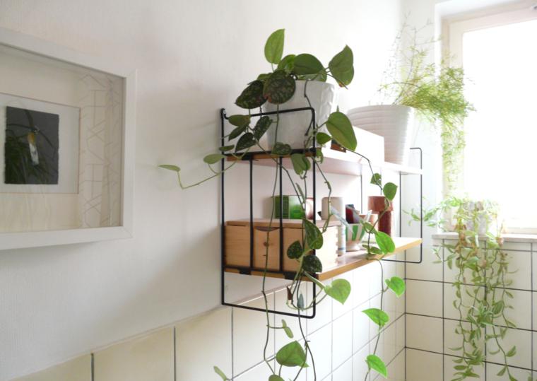 estante de baño con plantas estante cuarto baño deco plantas