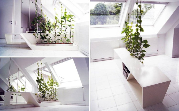 plantas en cascada plantas detalles casas blanco ideas