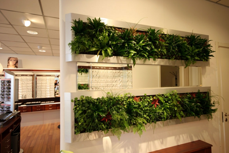 separadores-de-ambientes-plantas-flores
