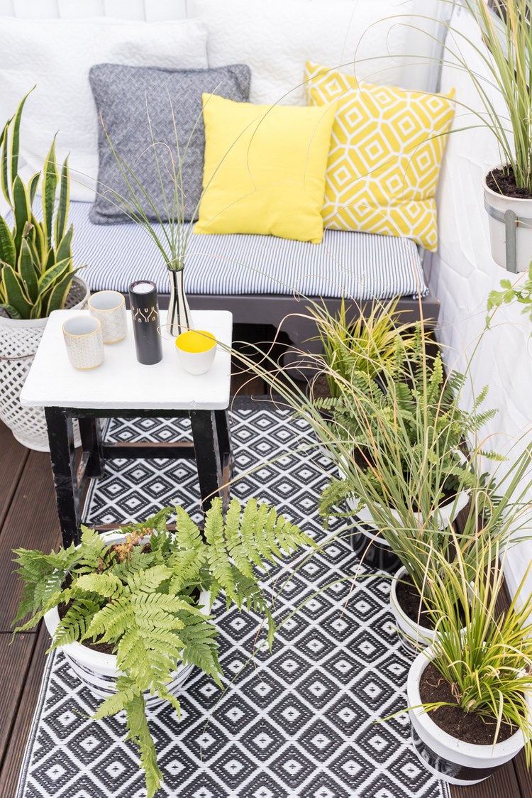 belleza balcon pequeno plantas alfombra ideas
