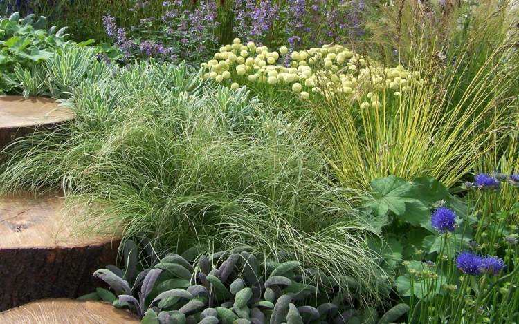 bonito diseño jardín moderno plantas