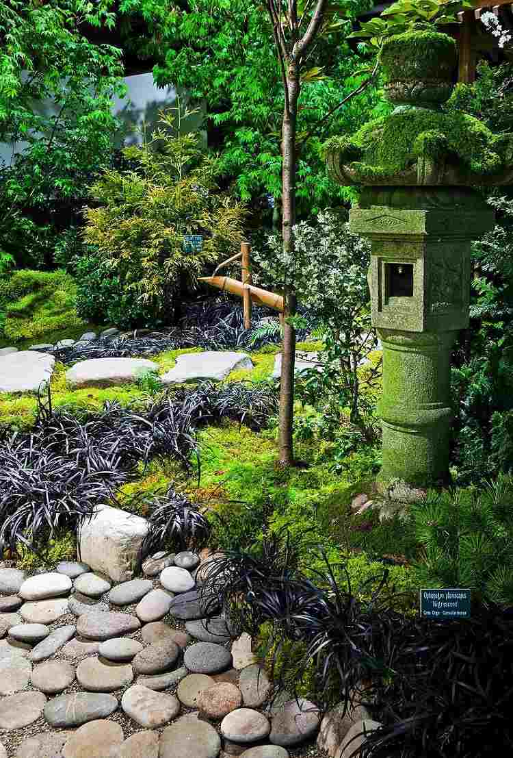 bonito diseño jardín Zen