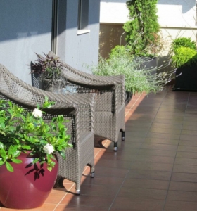 Plantas diseño y decorado en la ubicación de balcones.