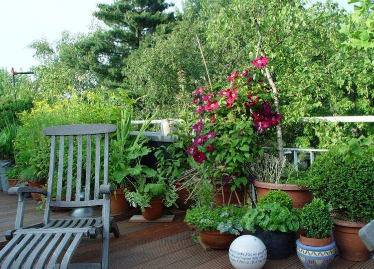 estupendo diseño decoración terraza plantas