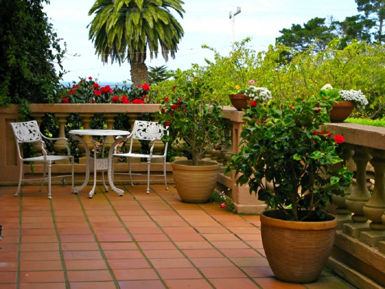 Plantas de exterior para terrazas y balcones 38 ideas