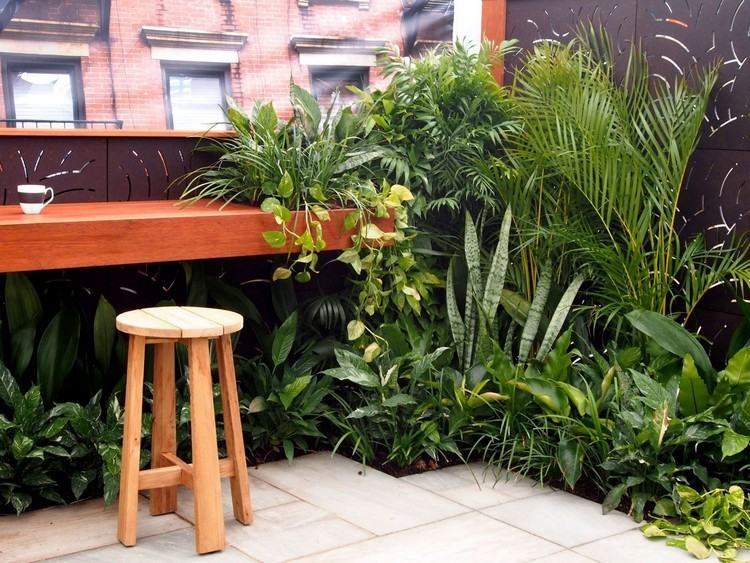 plantas diseño silla maderas decorados muro lugar