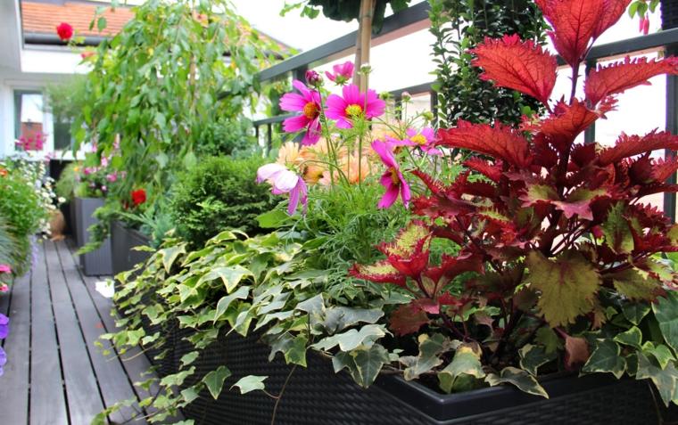 selección plantas decoración balcón colores
