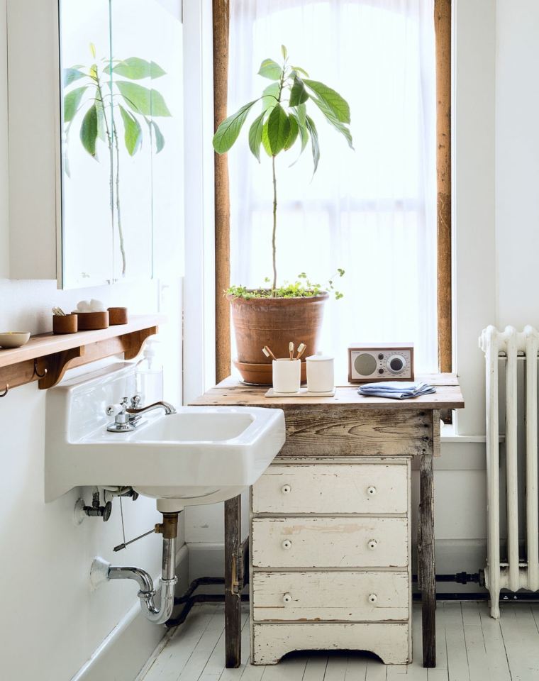 baños retro opciones plantas decorativas ideas