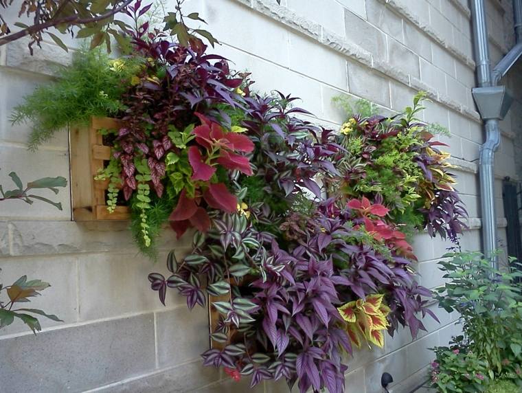 bonita decoración pared plantas