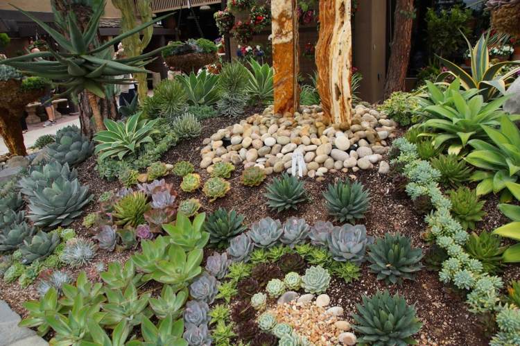 bonita decoracion jardin piedras plantas