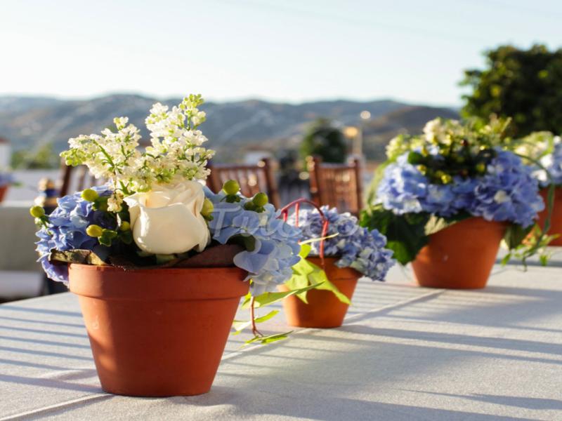 bonita decoración mesa terraza macetas