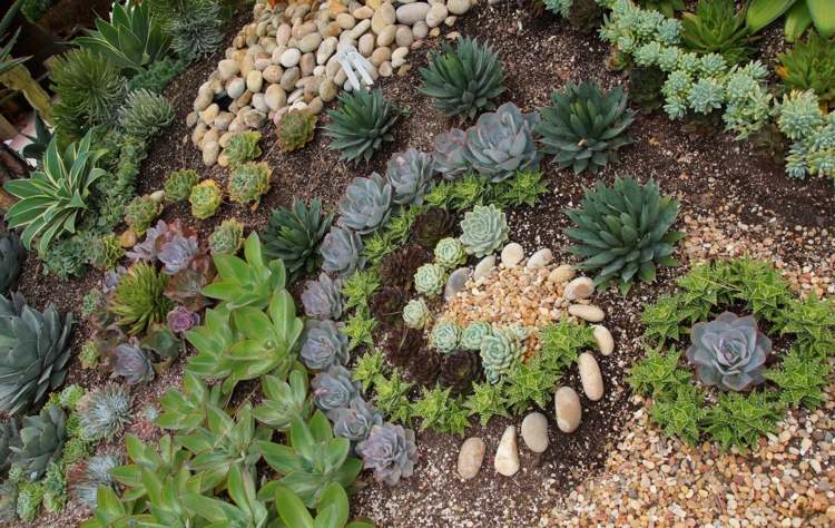 bonito diseño plantas arena guijarros