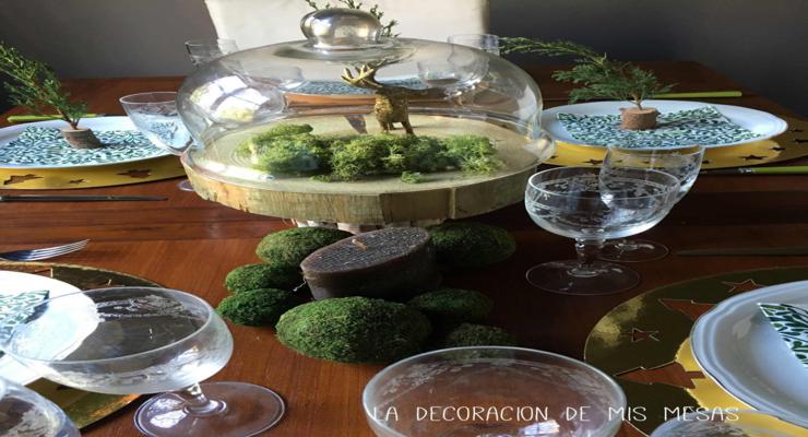 terrarios decoraciones musgos mesa