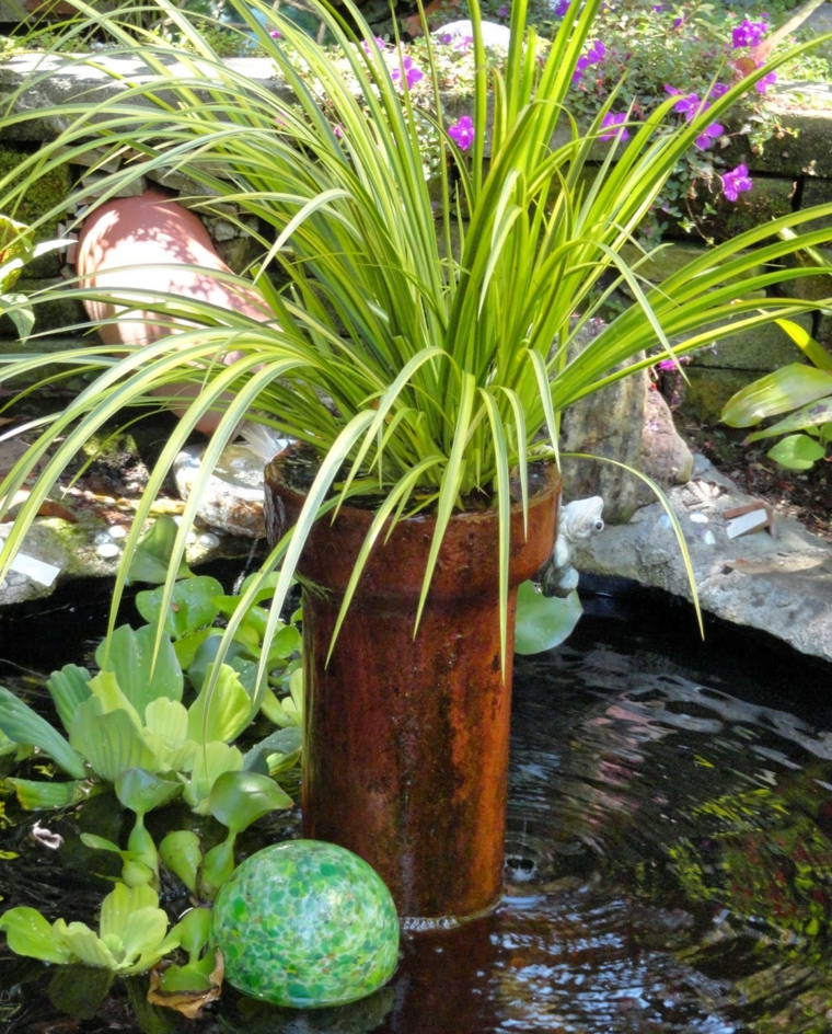 fuente jardin plantas opciones hierba montana japonesa ideas