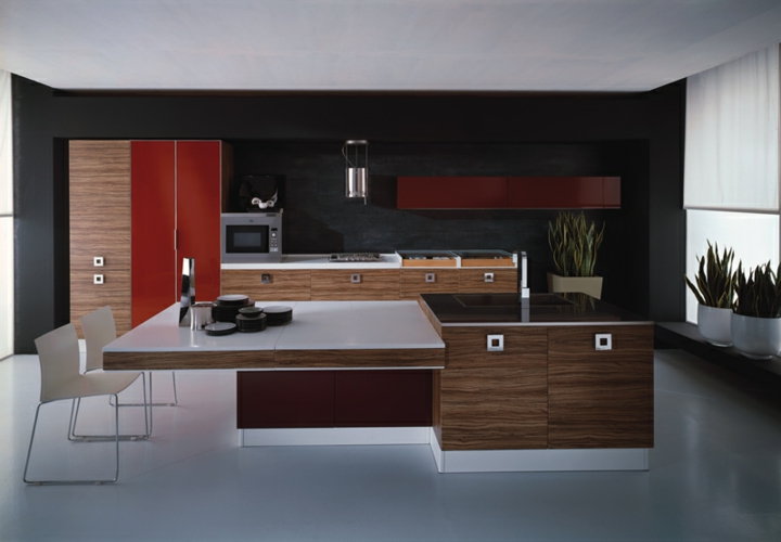 armarios en rojo imagenes cocinas modernas fundamentales plantas rojo