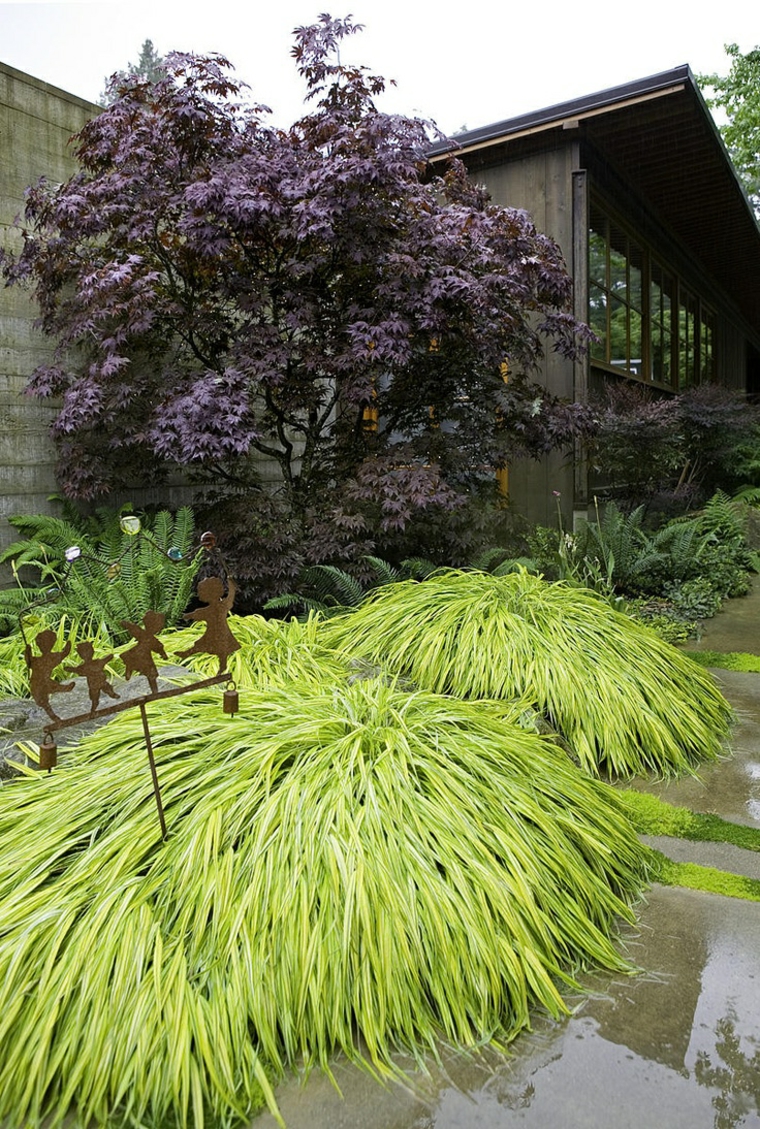 jardin japones opciones hierba montana camino arbol ideas