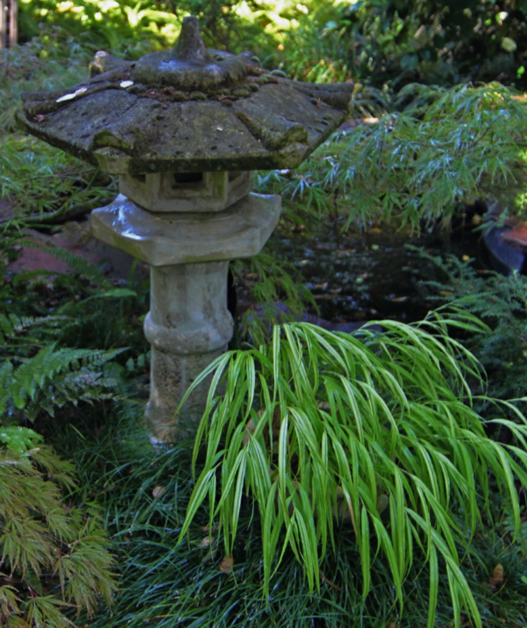 jardin japones opciones hierba montana figura ideas