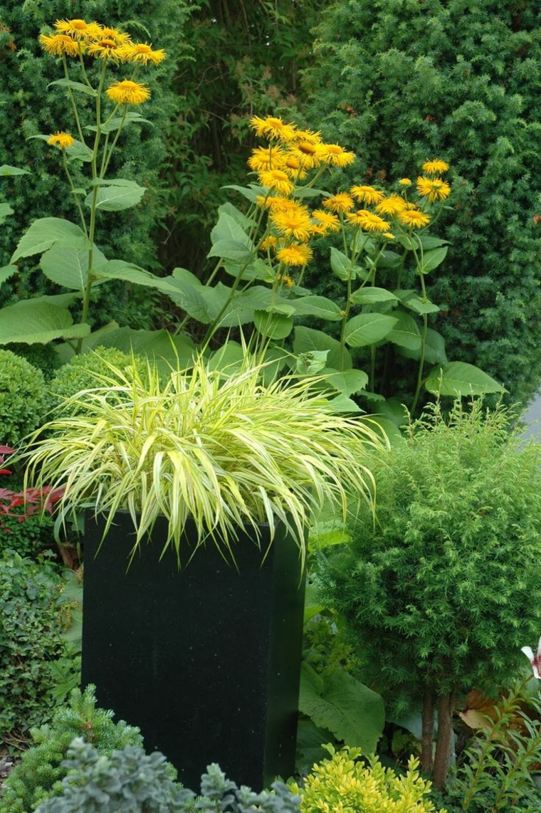 jardin japones opciones hierba montana maceta negra ideas