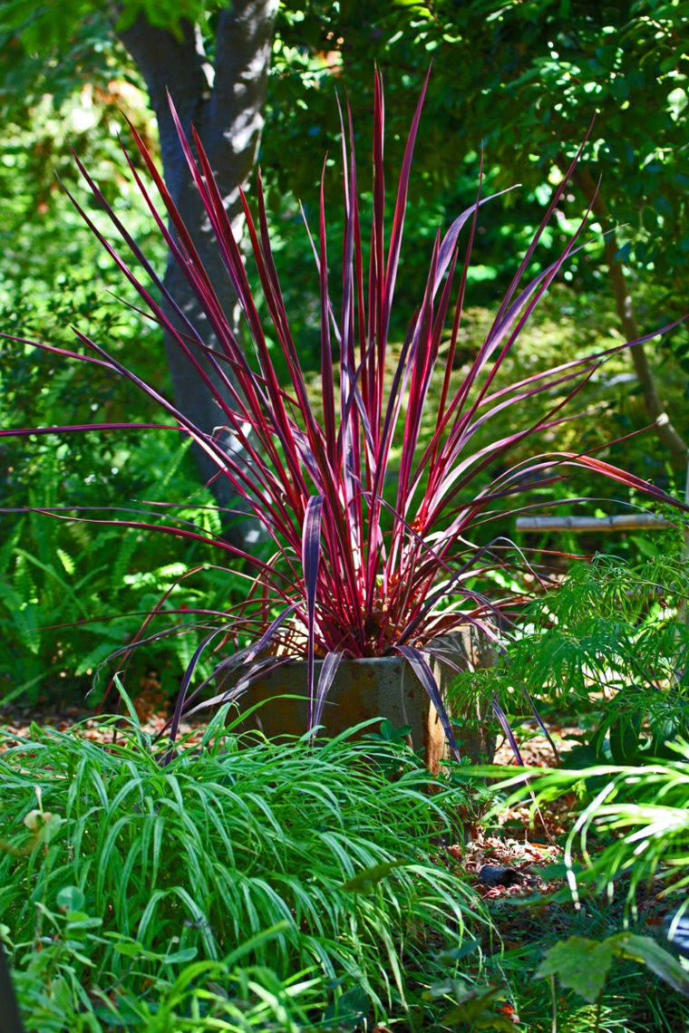 jardin japones opciones hierba montana maceta ideas