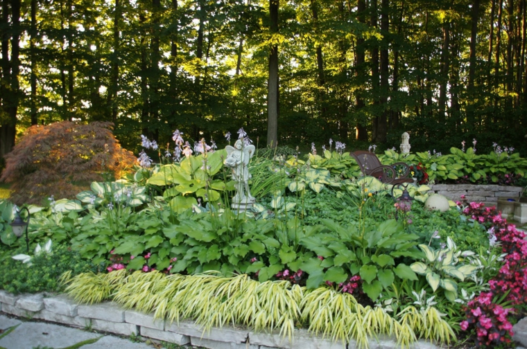 jardin japones opciones hierba montana vegetacion ideas