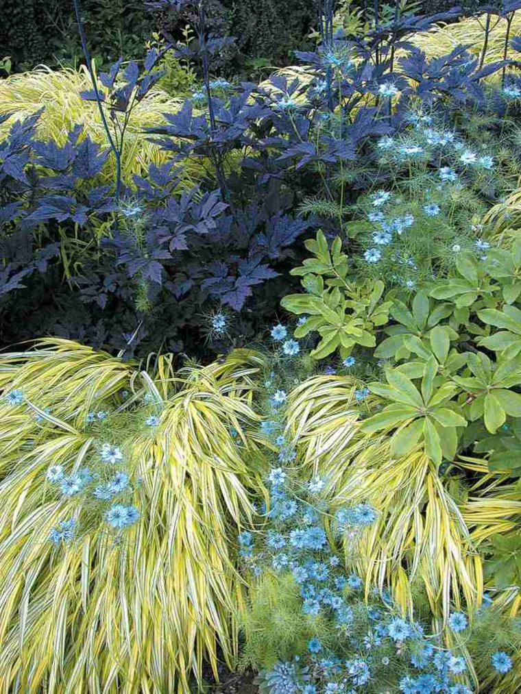 jardin opciones hierba montana japonesa vegetacion ideas