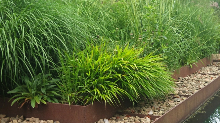 jardin plantas opciones hierba montana japonesa acero corten ideas
