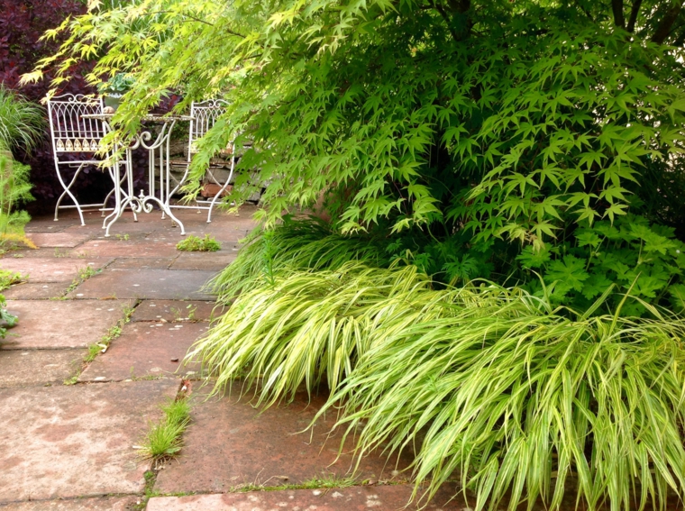 jardin plantas opciones hierba montana japonesa acero muebles ideas