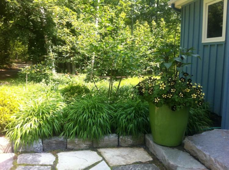 jardin plantas opciones hierba montana japonesa decora entrada ideas