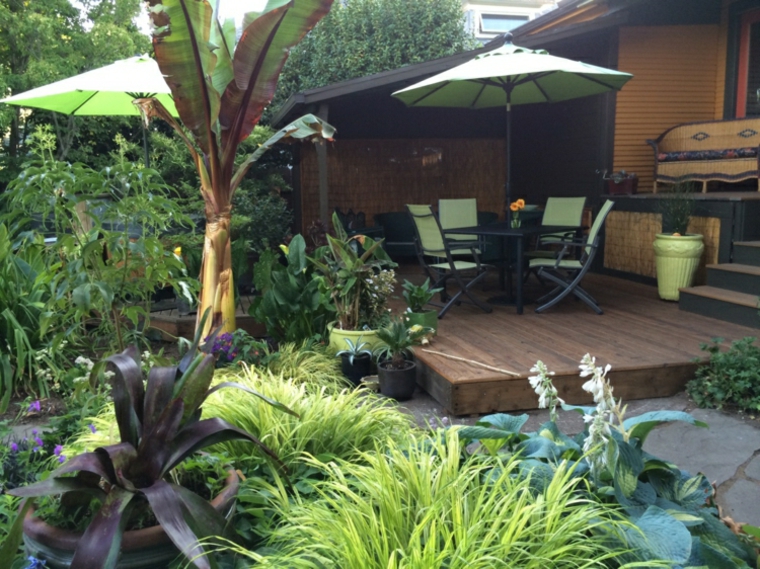 jardin plantas opciones hierba montana japonesa lugar descanso ideas
