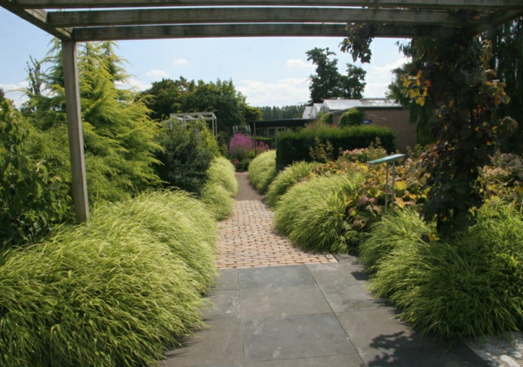 jardin plantas opciones hierba montana japonesa pergola ideas