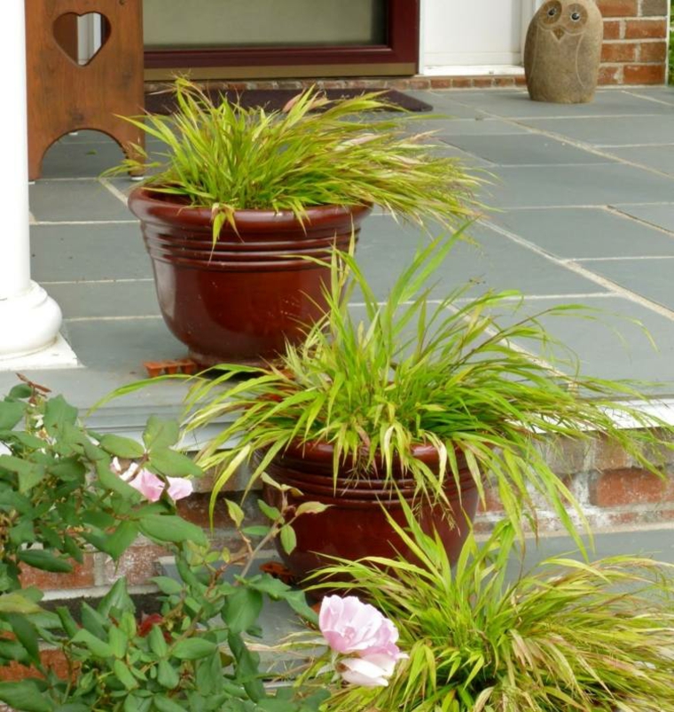 jardin plantas opciones hierba montana japonesa macetas escaleras ideas