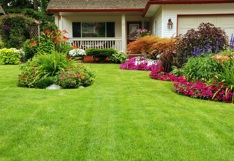 jardines primavera residencias plantas flores ideas