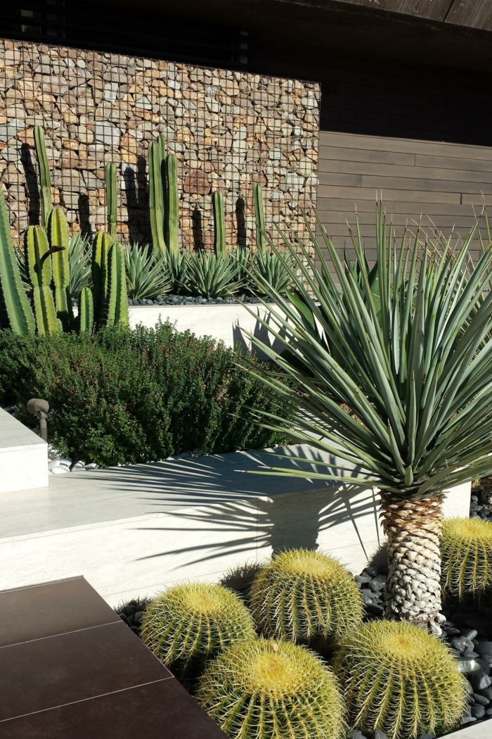 ambiente moderno muros ideas elementos soluciones espacios cactus