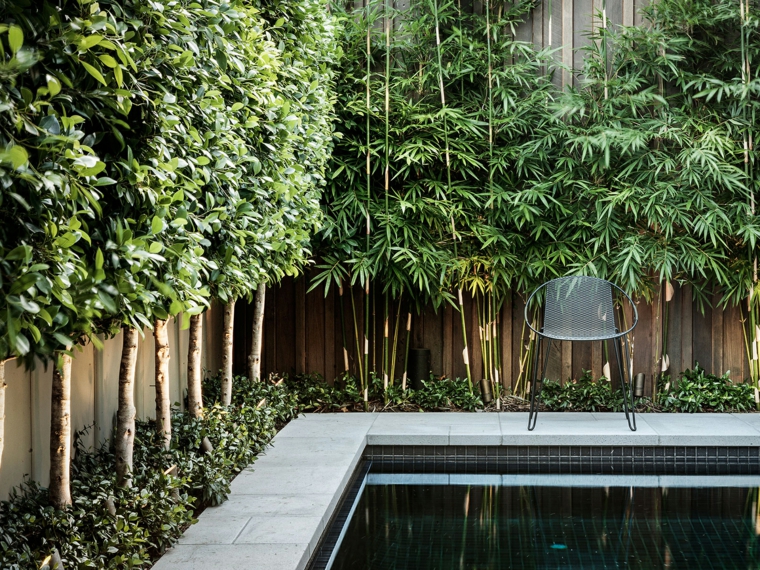 valla de madera y plantas en el jardín opciones originales diseno valla madera piscina ideas