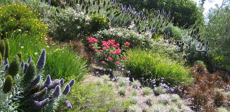 paisajismo flores primavera jardines plantas ideas