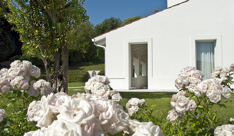 paisajismo flores primavera jardines rosas blancas ideas