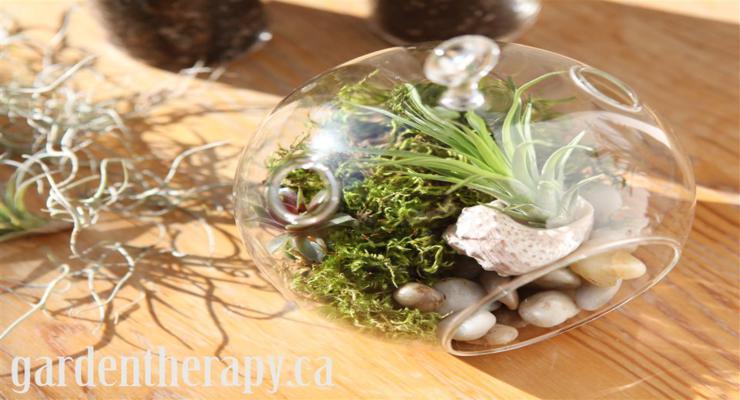 originales terrarios decorativos terrarios decoración natural plantas