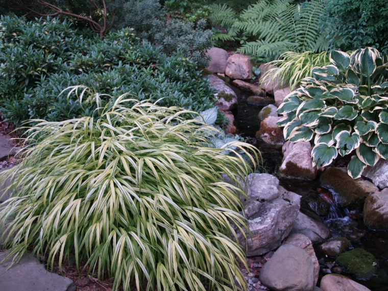 piedras jardin plantas hierba montana japonesa ideas