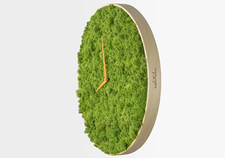 reloj de pared con musgos naturales reloj diseño esfera musgos