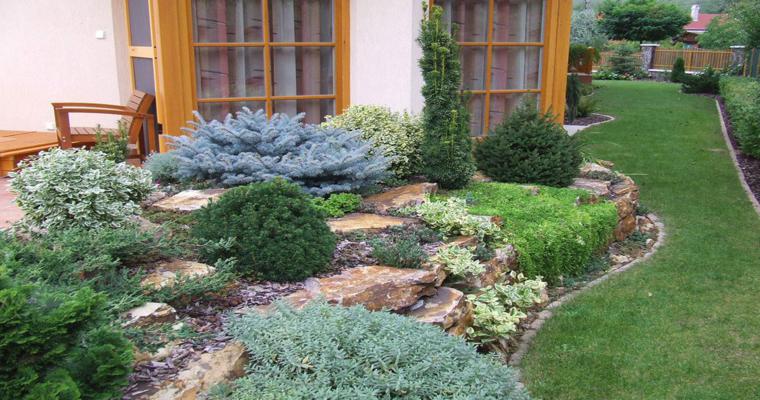 alpineum diseño rocas jardin